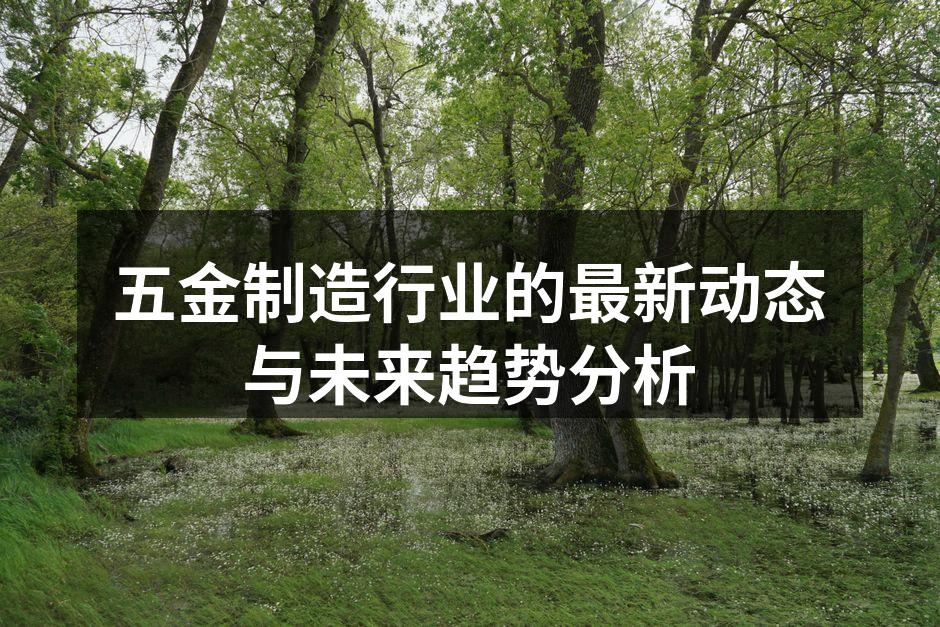 五金制造行业的最新动态与未来趋势分析